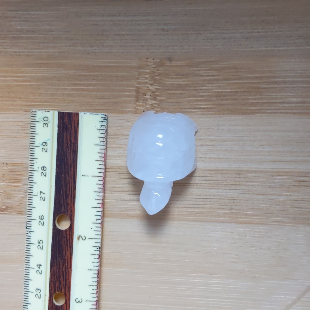 Mini Quartz Turtle 🐢 - Picture 4 of 12